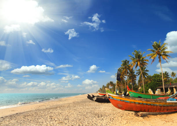 Marari Beach is known as the Malabar Coast's joy.