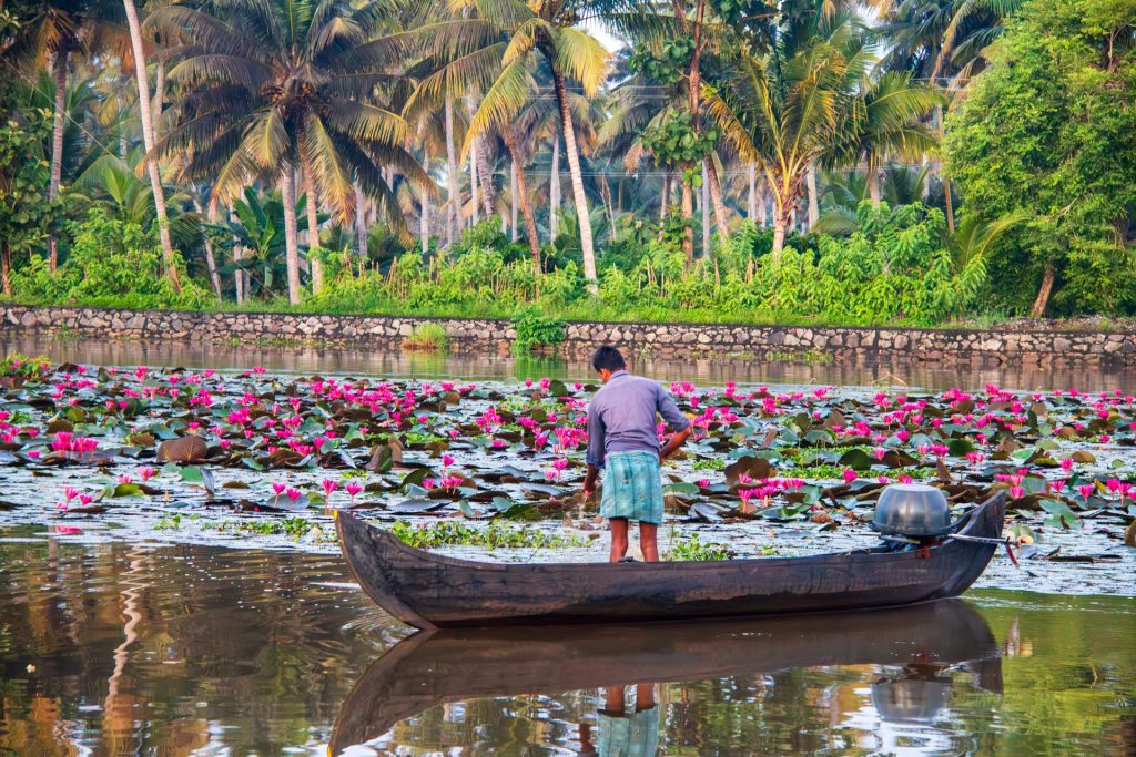 backwaters of alleppey
