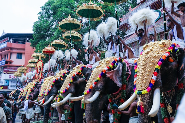 places to visit in alleppey