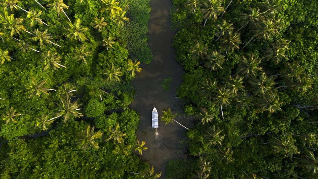 Things To Do In Alleppey