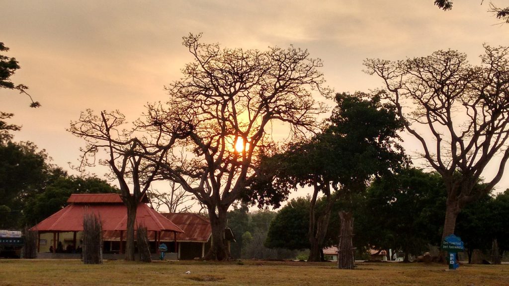 bandipur national park safari timings ends by 6;30pm