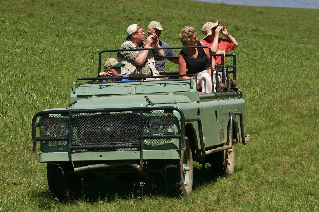 bandipur national park safari is a must do activity