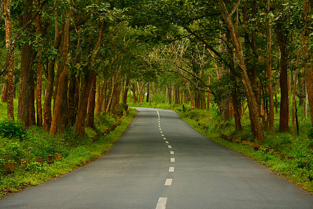 Beutiful views of the park as you drive through Bandipur.