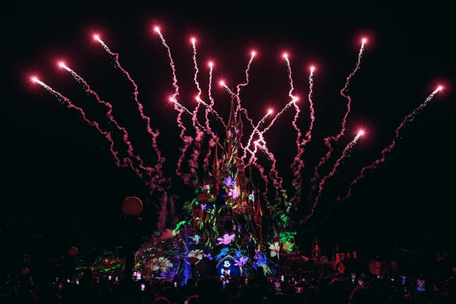 Disneyland fireworks