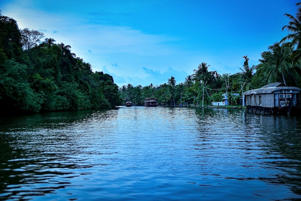 Kumarakom Backwaters have exciting canoeing and kayaking opportunities.