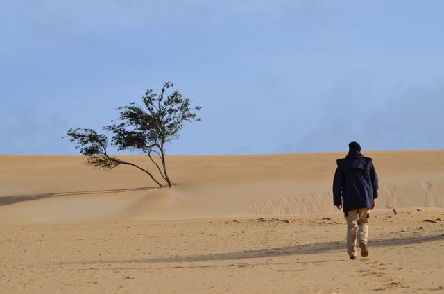 Victoria desert landscape, Australia