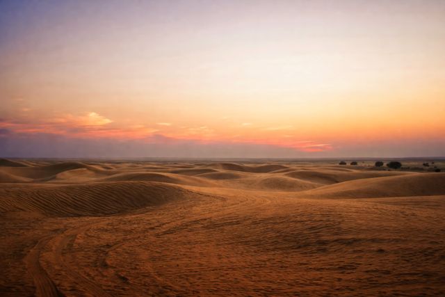 Thar Desert is among the famous deserts in the world