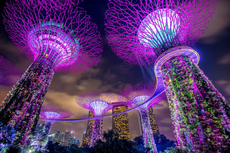 A Guide To Gardens By The Bay In Singapore