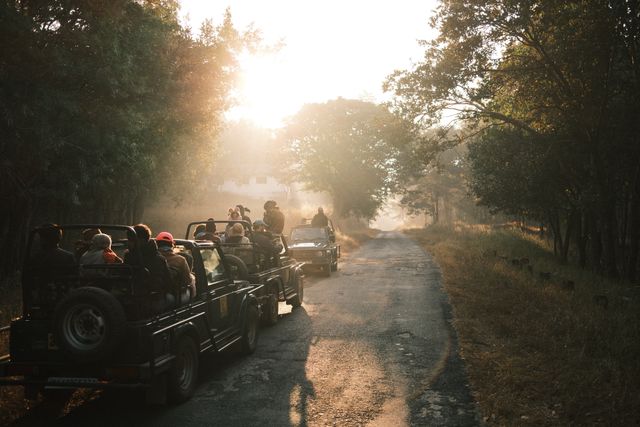check for mudumalai tiger reserve timings before booking