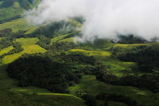 there is no best time to visit coorg for honeymoon, all year round is best time.