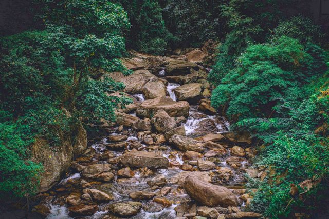 iruppu falls distance from mysore