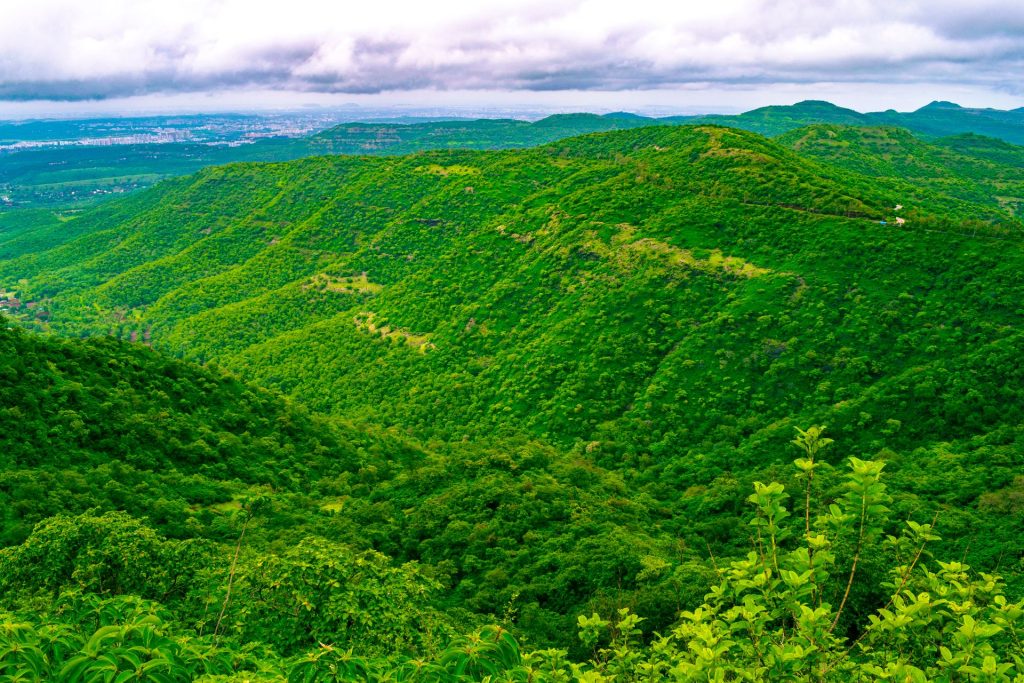 chamundi hills