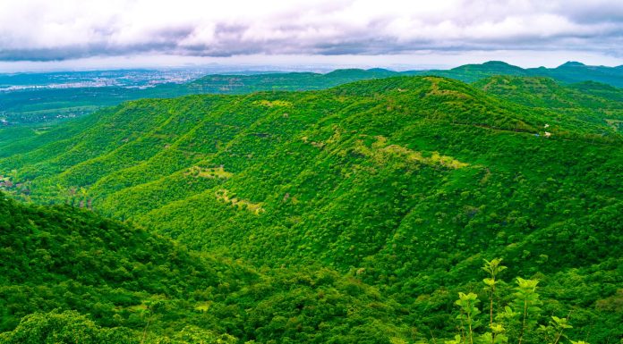 chamundi hills, (Image Source: Pexels) chamundi hills