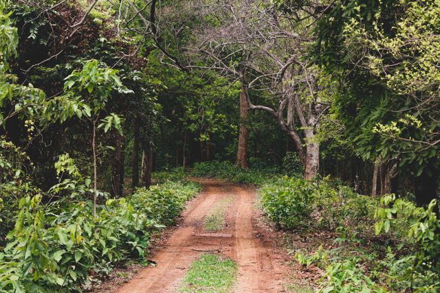 best wildlife sanctuary in Coorg