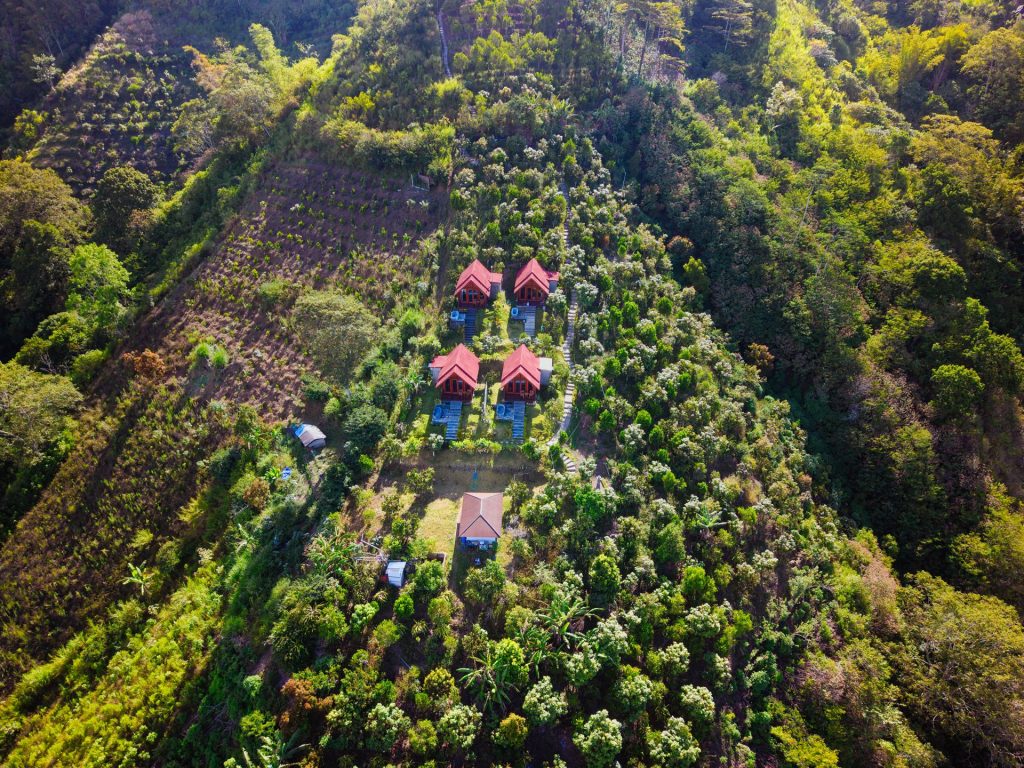 area 83 resort
