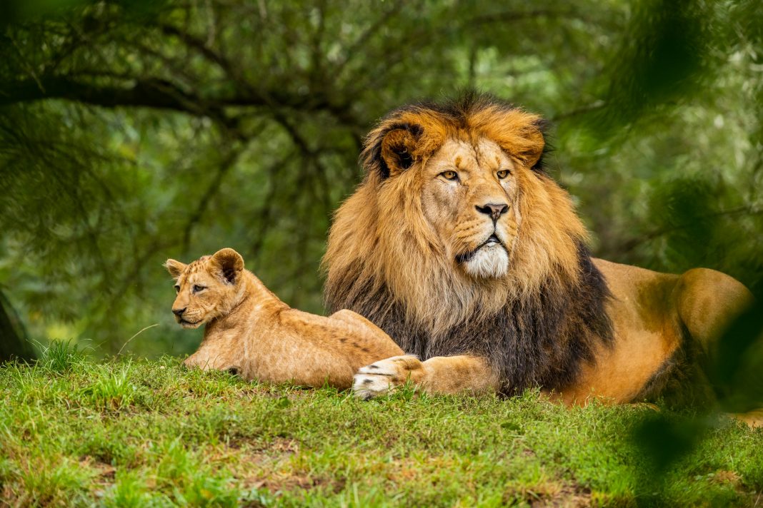 National parks in rajasthan