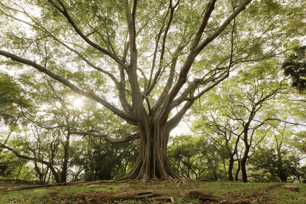 day trips from bangalore