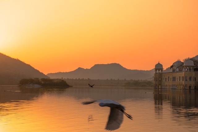 book your tickets for a trip to Jaipur