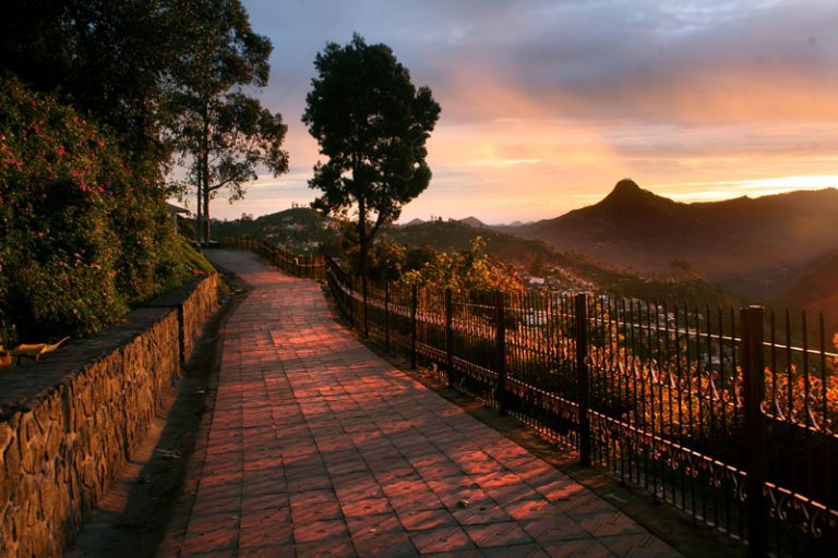 Journeying Through The 11 Best Places To Visit In Kodaikanal