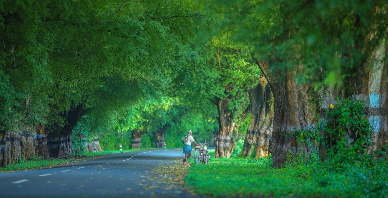 A Guide To The Best Time To Visit Kodaikanal And Surrender To Its Mystique