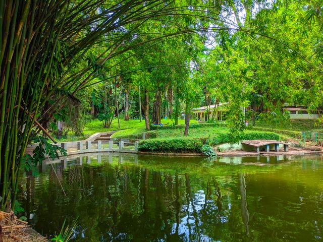 great place for those who are looking for peace and connection with nature.