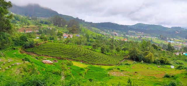 Doddabetta is the highest peak in tamilnadu