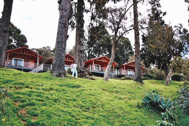 pet friendly resort in Ooty