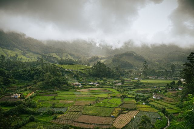 best resorts in ooty