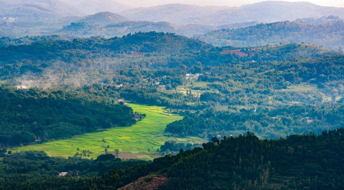 Kodaikanal, (Image Source: Pexels) places to visit in Kodaikanal