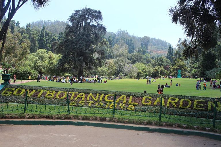 A Guide To The Botanical Garden Ooty