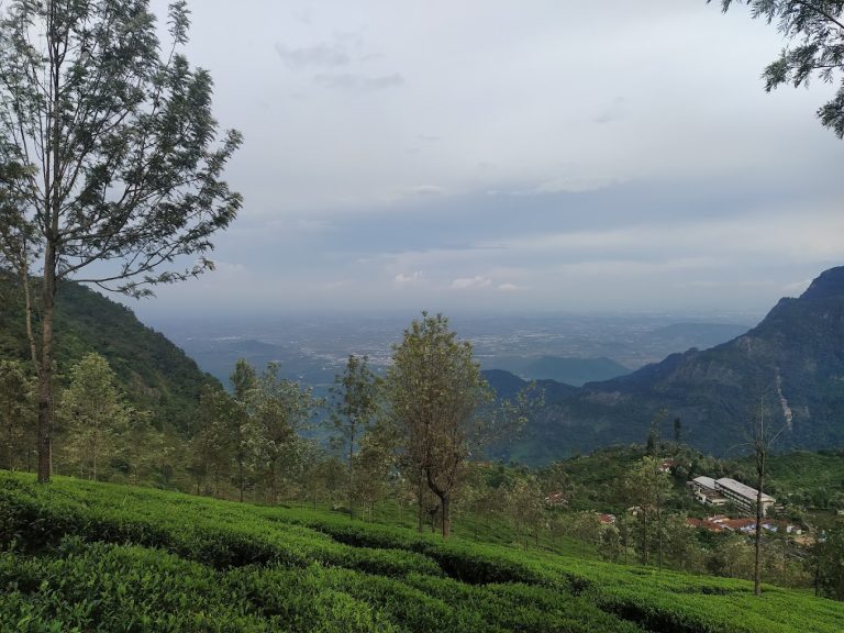 Lamb’s Rock Coonoor: Hidden Gem Of Natural Splendor
