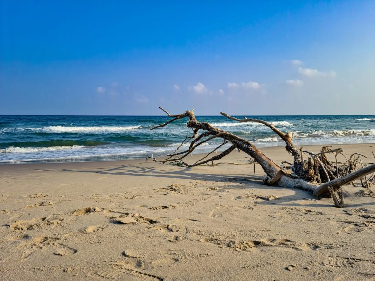 Paradise Beach Pondicherry: Nature’s Peaceful Retreat
