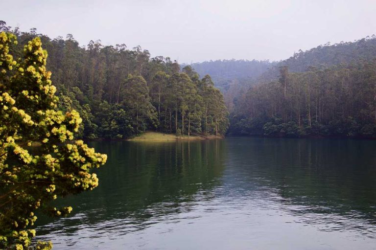 A Pykara Lake Guide To Unlock Nature’s Beauty