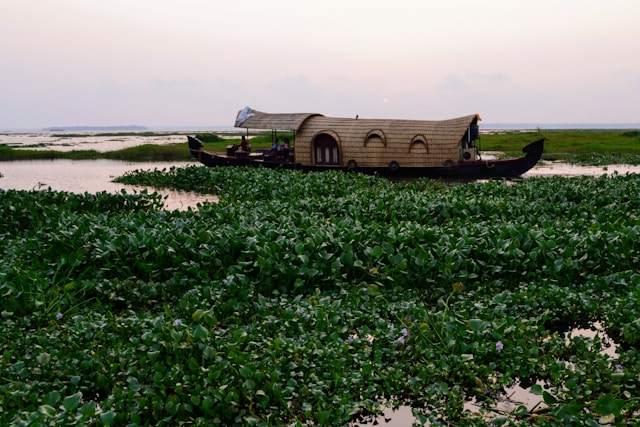 boat house in alleppey is great to spend time with family and friends.