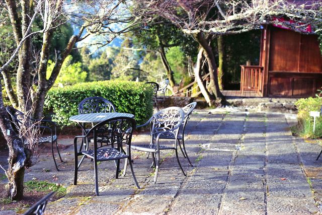 best resorts in coonoor for a dreamy stay.