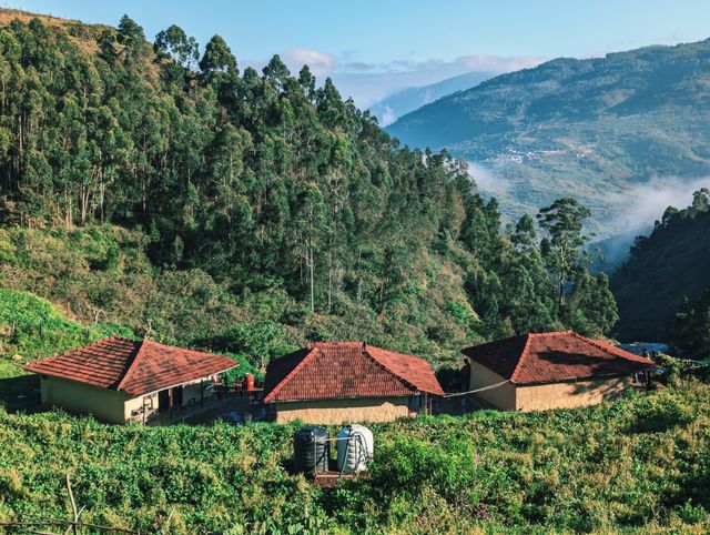 holistic experiences at the kodai resorts