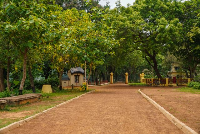 winter is the best time to visit Coonoor