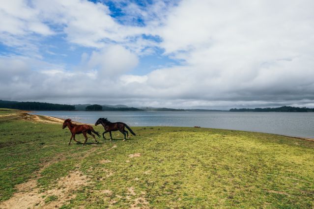 pykara lake ooty, is famous for its scenic views.