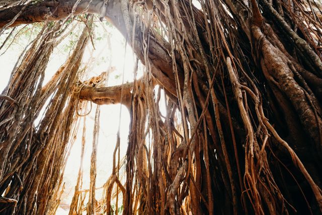 offbeat places to visit in bangalore