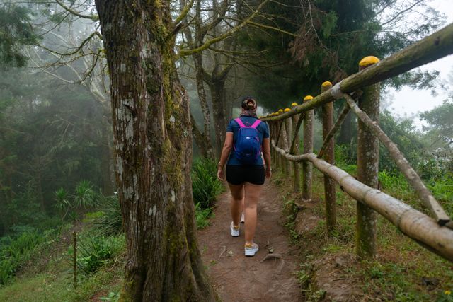 kodaikanal coakers walk is a must visit place