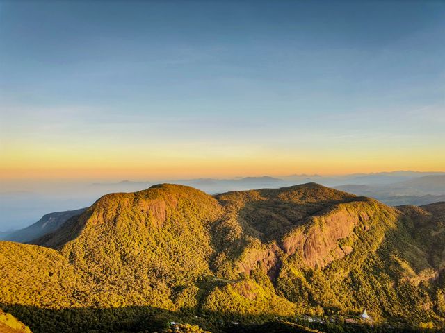 one can click beautiful pine forest kodaikanal photos here