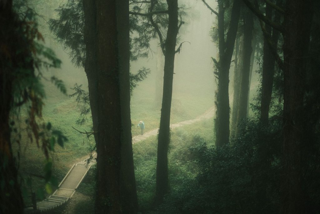 Coakers Walk Kodaikanal