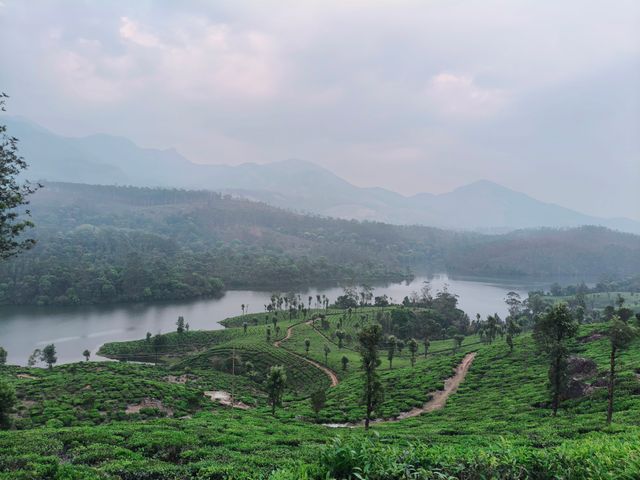 munnar echo point