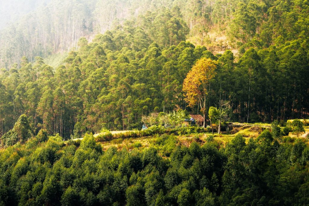 weekend getaways from bangalore