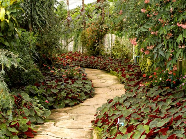 ooty botanical garden is a must visit place