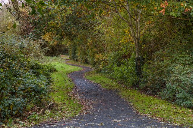 catherine falls kotagiri trekking routes