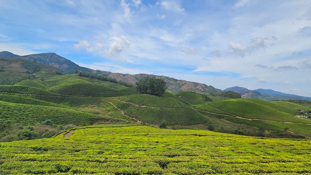 echo point munnar entry fee