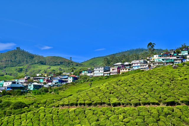 arresting views of the rolling hills from the resort.