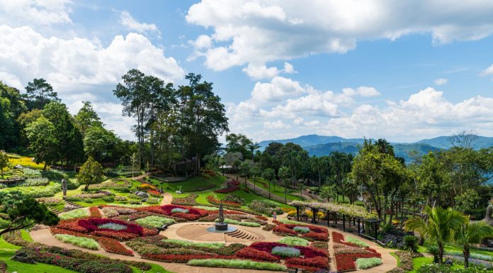 Botanical Garden Ooty, (Image Source: Pexels) Botanical Garden Ooty