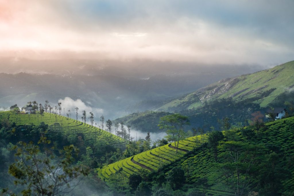 echo point Munnar
